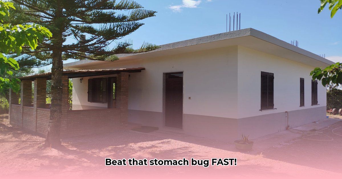 home-remedies-for-stomach-bug